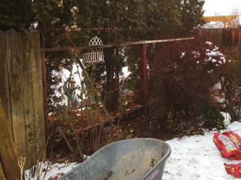 Partially repaired fence