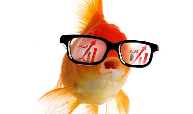 Grow business in goldfish glasses